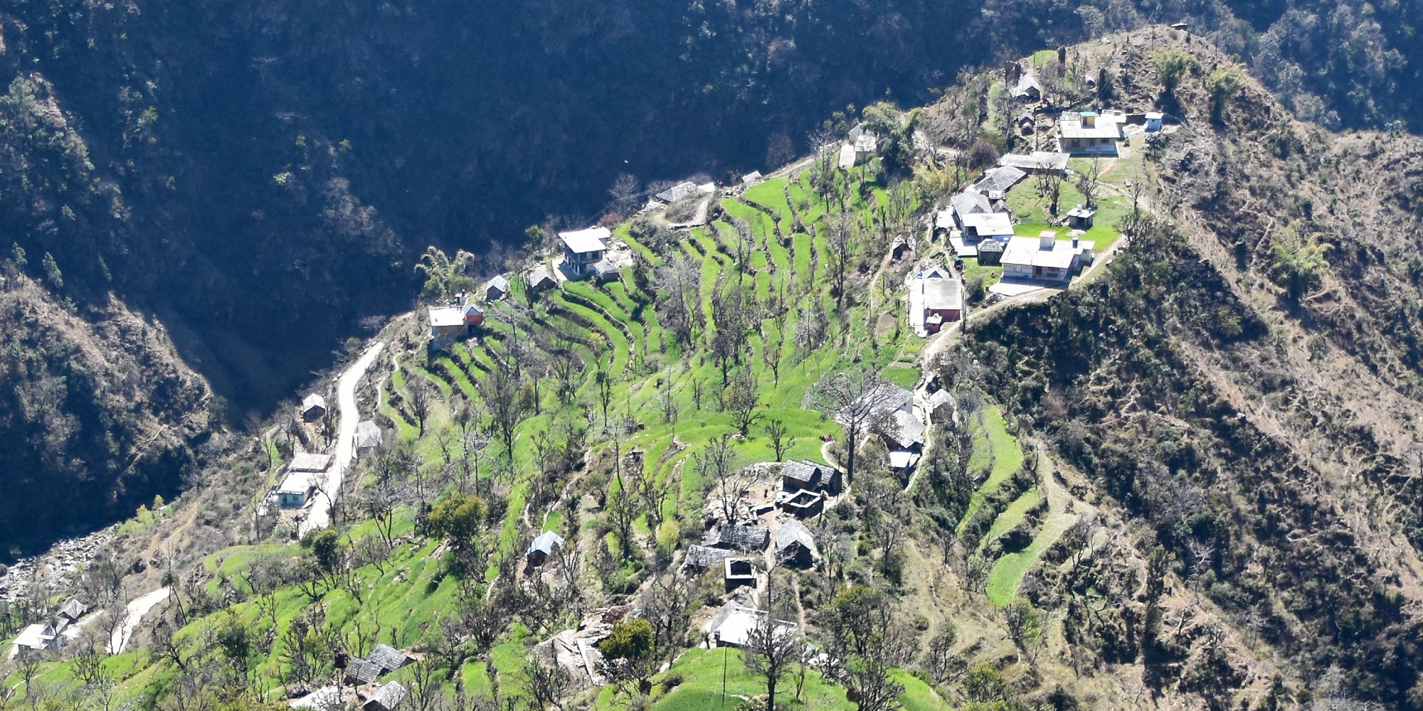 Terraced fields in Himachal, India