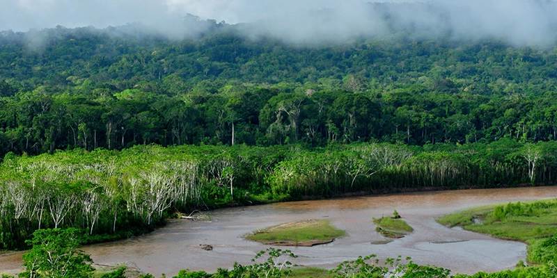 ITU sustainability research in the Amazon awarded grant from IRFD